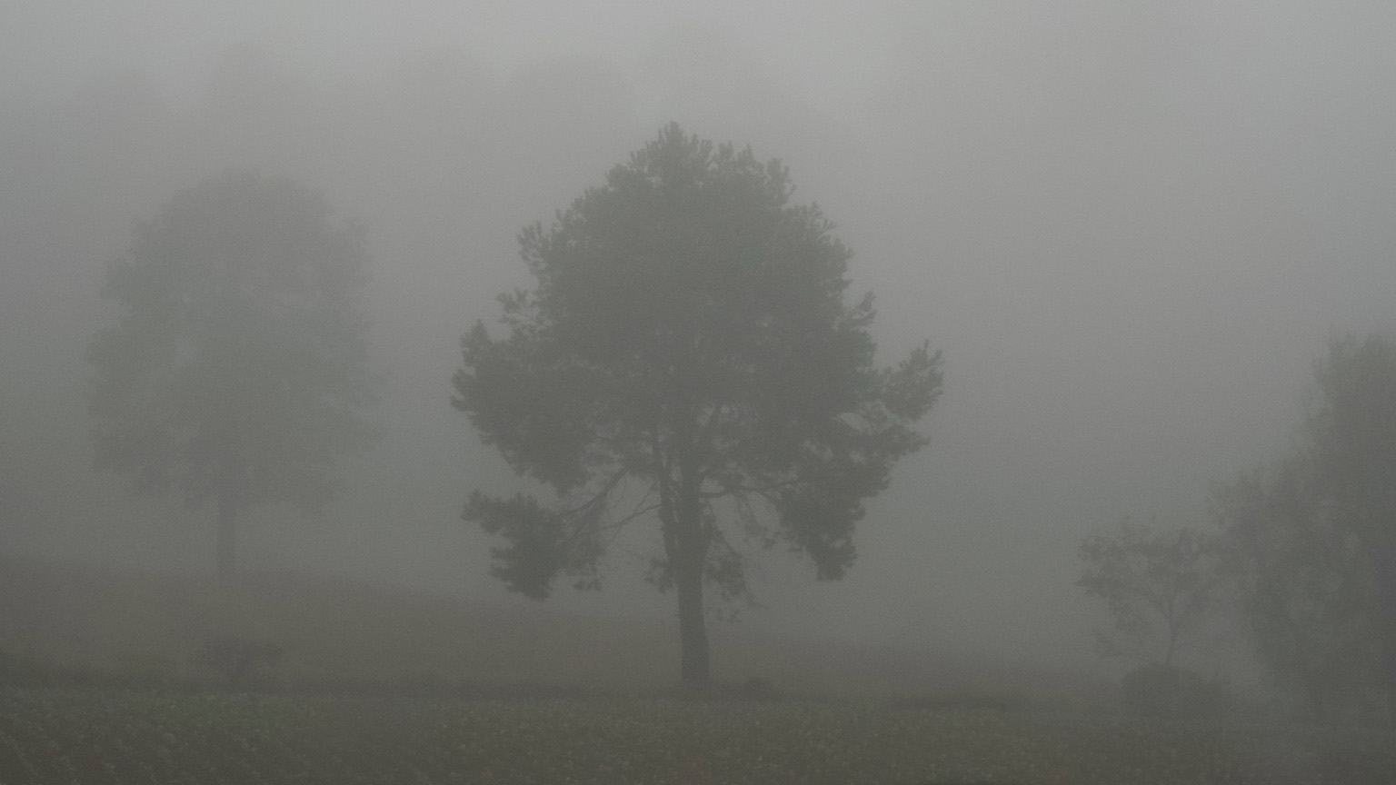 Photo of a screenshot of this website